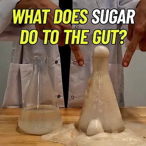 77 reactions · 52 shares |  What does sugar do to the gut? Well,...