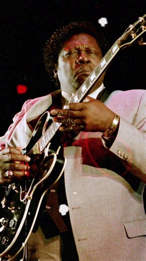 bb king's & john Mayer #livemusic #guitarsolo #blueschannel