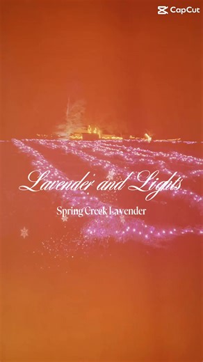 2.1K views · 49 reactions | We can’t wait to open the farm for Lavender and Lights! It’s two weeks away. Get your tickets at www.springcreeklavenderny.com | Spring Creek Lavender | Facebook