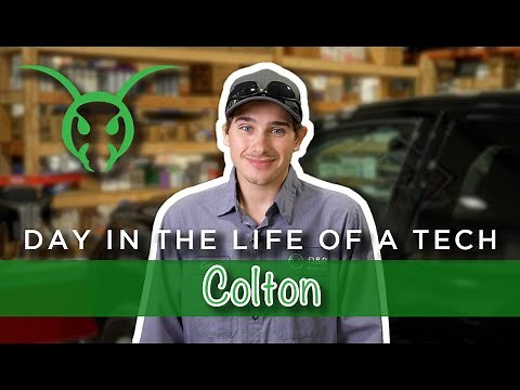 A Day in the Life of a Pest Control Technician - Colton
