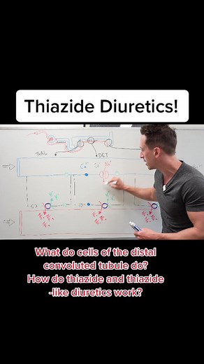 Thiazide Diuretics Explained for Nursing Students
