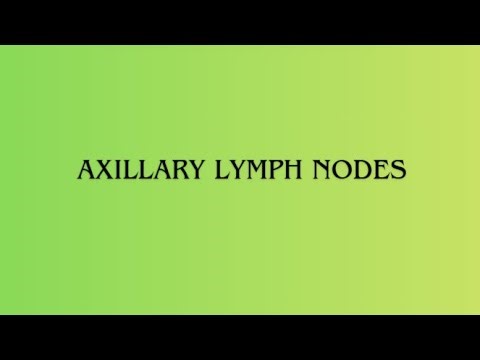 Axillary Lymph Nodes