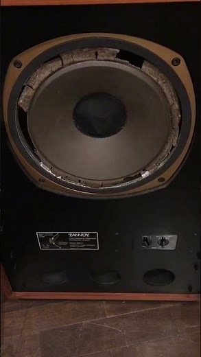 オーディオ試聴動画？ Tannoy Arden 動作チェック タンノイ アーデン 2