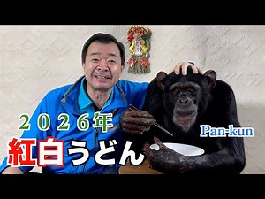 Pan-kun's New Year 2026 🎍 [Part 2] Delighted with Kagawa Prefecture's Red and White Udon ㊗️ Geniu...