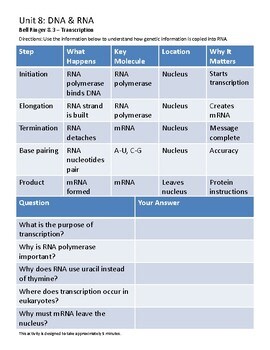 Biology Bell Ringer 8.3 – Transcription | Low-Prep Biology Activity