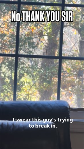 Um…help? | Educator Andrea