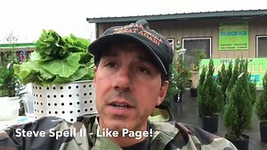 33K views · 807 reactions | I understand John McCain senator from...