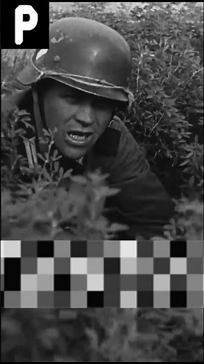German Invasion of France (1940) | Real WW2 Combat Footage