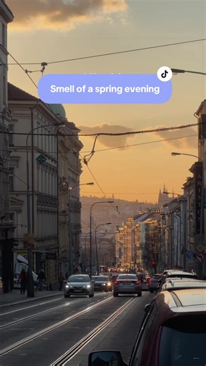 Spring is coming to Prague 🌇🌸 #prague #praha #citylife #praguetravel #springishere