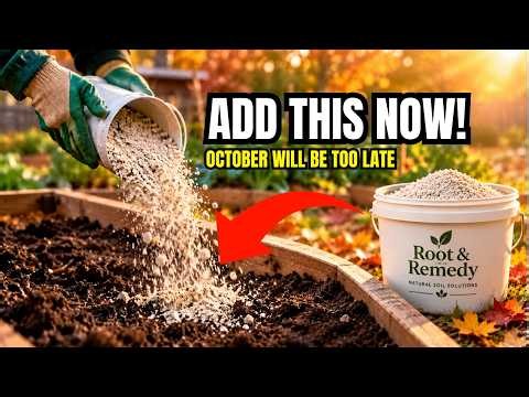 Fix Your Soil Before October! 10 Easy Amendments