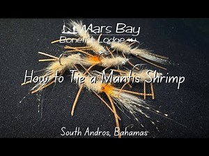 How to Tie a Mantis Shrimp