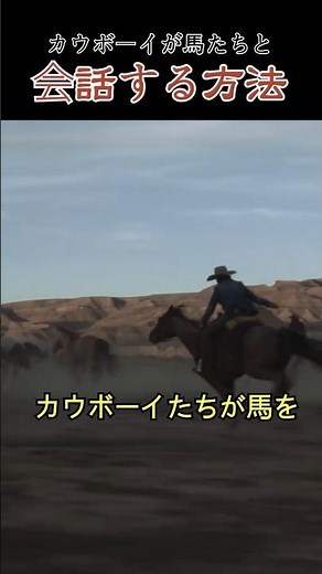 How cowboys communicate with their horses