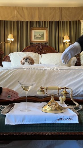 Rich & Thirsty on Instagram: "When martini’s call, we answer. 📞 Rich & Thirsty Crystal Martini Glasses are handblown and engraved with fine lasers, mixing quality with aesthetic. Shop our assortment of luxury glassware on our website and elevate your drinking experience! #glassware #martini #cocktails #roomservice #dirtymartini #vodkamartini #martiniglass #cocktailglass #stemware #barware #luxury #luxurygifts"