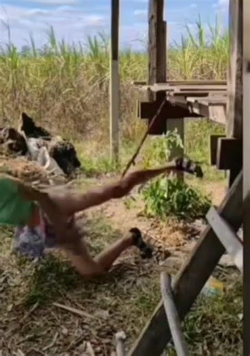 #ethiopia #duet #eritrian #germany #funny#shorts