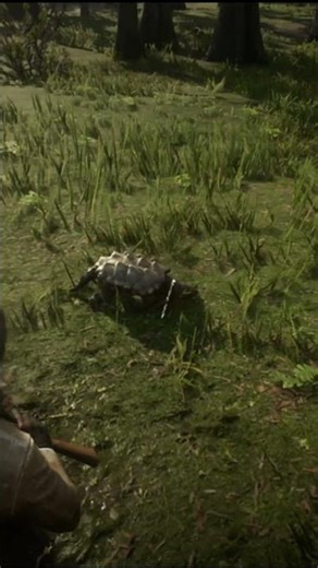 Hunting in Bluewater Marsh🎯 | RDR2