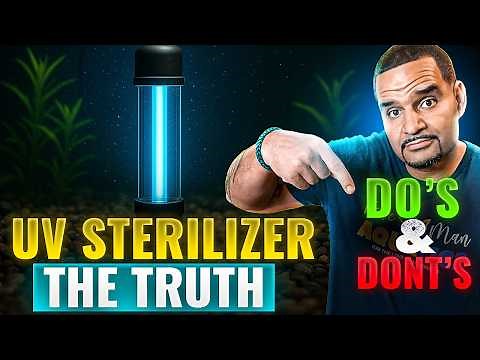 Will a UV Sterilizer Hurt Your Aquarium? | How UV Sterilizer Work | KaveMan Aquatics