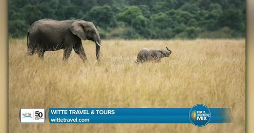 Plan your next vacation with Witte Travel and Tours