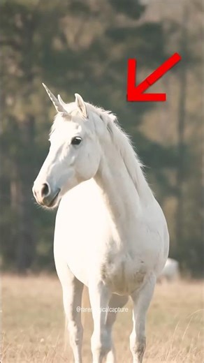 I caught a unicorn on camera😱🦄🤯 #fyp #foryou #viral