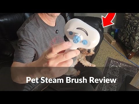 Pet Steam Brush Review | Grooming & Bath Brush for Dogs & Cats to Reduce Shedding