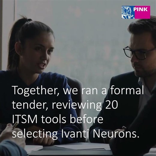 SCS JV Case Study Case Summary Pink Elephant