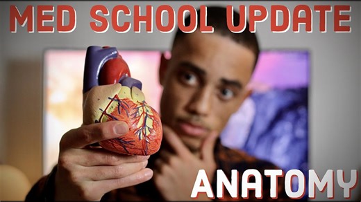Essential Medical School Update: Mastering Anatomy