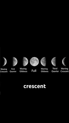 Phases of the Moon Explained | #moon #moonphase #space #astronomy #science ##tidallocking