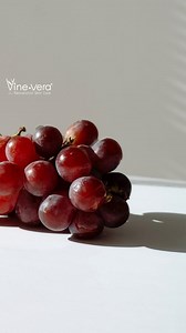 Say hello to a glowing complexion with our Vitamin C Collection. Available online vinevera.com   @thefrugalfernandez #resveratrol #skincare #skincareroutine #vinevera #vineveraskincare #vineveraskin #wineskincare #resveratrolskincare #vitamincskincare #vitaminc | Vine Vera | Facebook