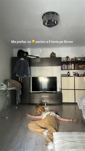 Testing Bruno: Expect Nothing Less