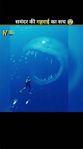 How Deep Is The Ocean? 🌊 11,000 Meters! #Shorts