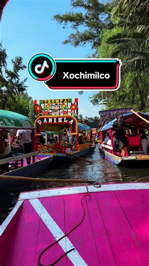 The Xochimilco boat tour was easily one of the highlights of my trip. From the moment we stepped onto the colorful trajinera, the atmosphere was lively and fun. The unlimited drinks were a huge plus! We never had to worry about running out, and the micheladas were especially refreshing as we cruised through the canals. One of the most memorable parts was getting to see axolotls up close. It’s such a unique experience and added an unexpected, fascinating touch to the day. The included quesadilla