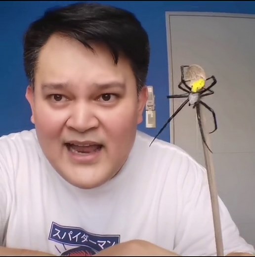 Japan x Hybrid Spider 2 Fight: Araneus vs Hybrid Spider | Spiderdoc