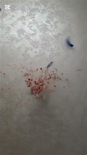 🎉 Exploding Balloon Surprise Like a Party Popper! 💥#ViralExplosion #TrendingVideo #EpicMoments