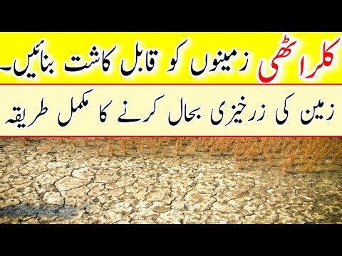 Reclamation of Salt Affected Soils | Salinity Control & Soil Improvement for Higher Crop Yield