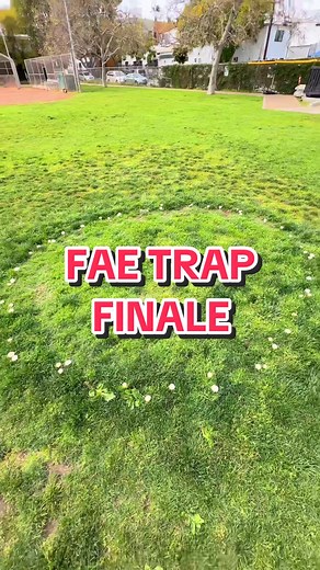 Exploring the Secrets of Fae Traps and Their Mysteries
