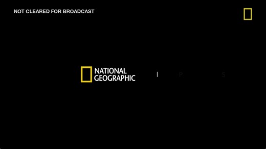 EP309_FULL_EP_W_WATERMARK