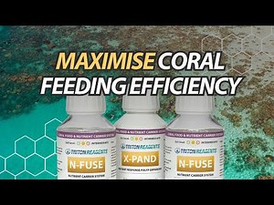 New products: X-PAND and N-FUSE.