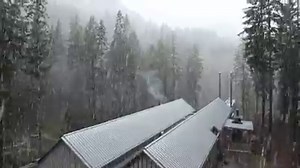 Tillamook Forest Center on Reels