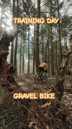 Gravel or Mountain Gravelbike #gravelbike #fahrradblog Bikepacking trail #bike Cube Nuroad Race 🤪