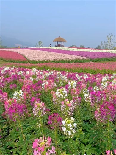Stunning Flower Gardens to Inspire Your Green Thumb