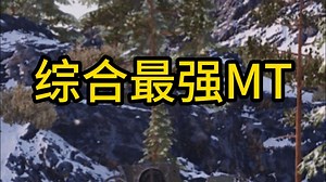 【今日话题】你心中综合最强的MT是谁呢？_哔哩哔哩_bilibili