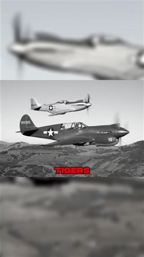 Why the P-40 Warhawk Was Feared in the Pacific | WWII Flying Tigers