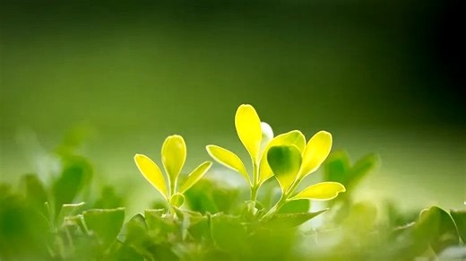 海信洗衣机显示F08怎么办海信洗衣机维修中心|24小时全国统一售后受理中心电话4008884959