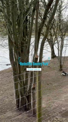 Rushcliffe Country Park walk around the lake