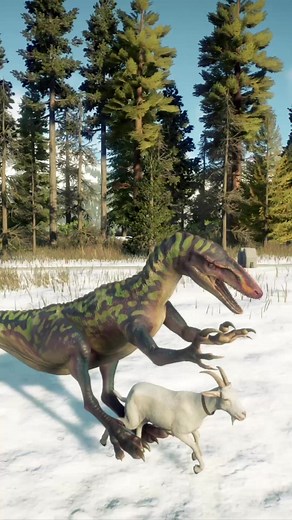 Australovenator Goat Hunt in Australia