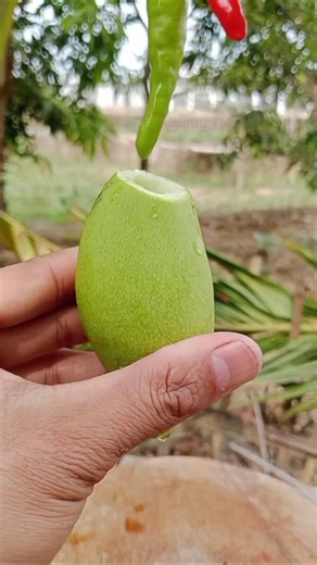 Spicy Mango Recipe for a Zesty Treat