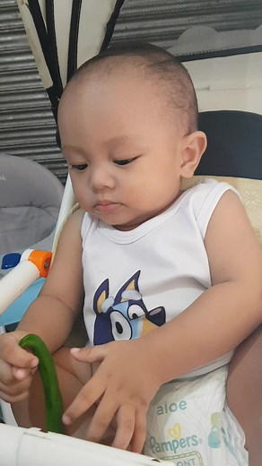 Marco Carlo on Reels