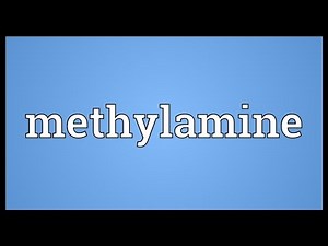 Methylamine Meaning