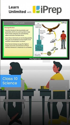 Biomagnification | Our Environment | Science | Class 10 | iPrep #iprep #science