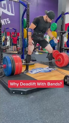Collab with @Layne Norton, PhD. #deadlift #powerlifting #workout #workoutplan #lifting #gym #exercise #fitness #fit #bodybuilding #legday #weightlifting #strong