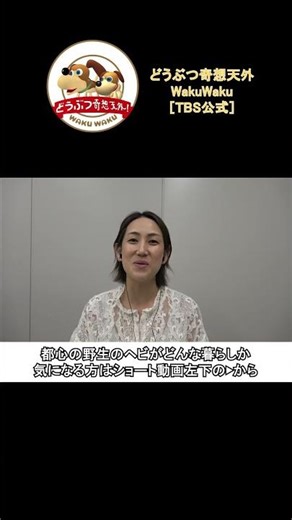 なぜここに!?都会の野生のヘビの暮らしとは？【どうぶつ奇想天外／WAKUWAKU】